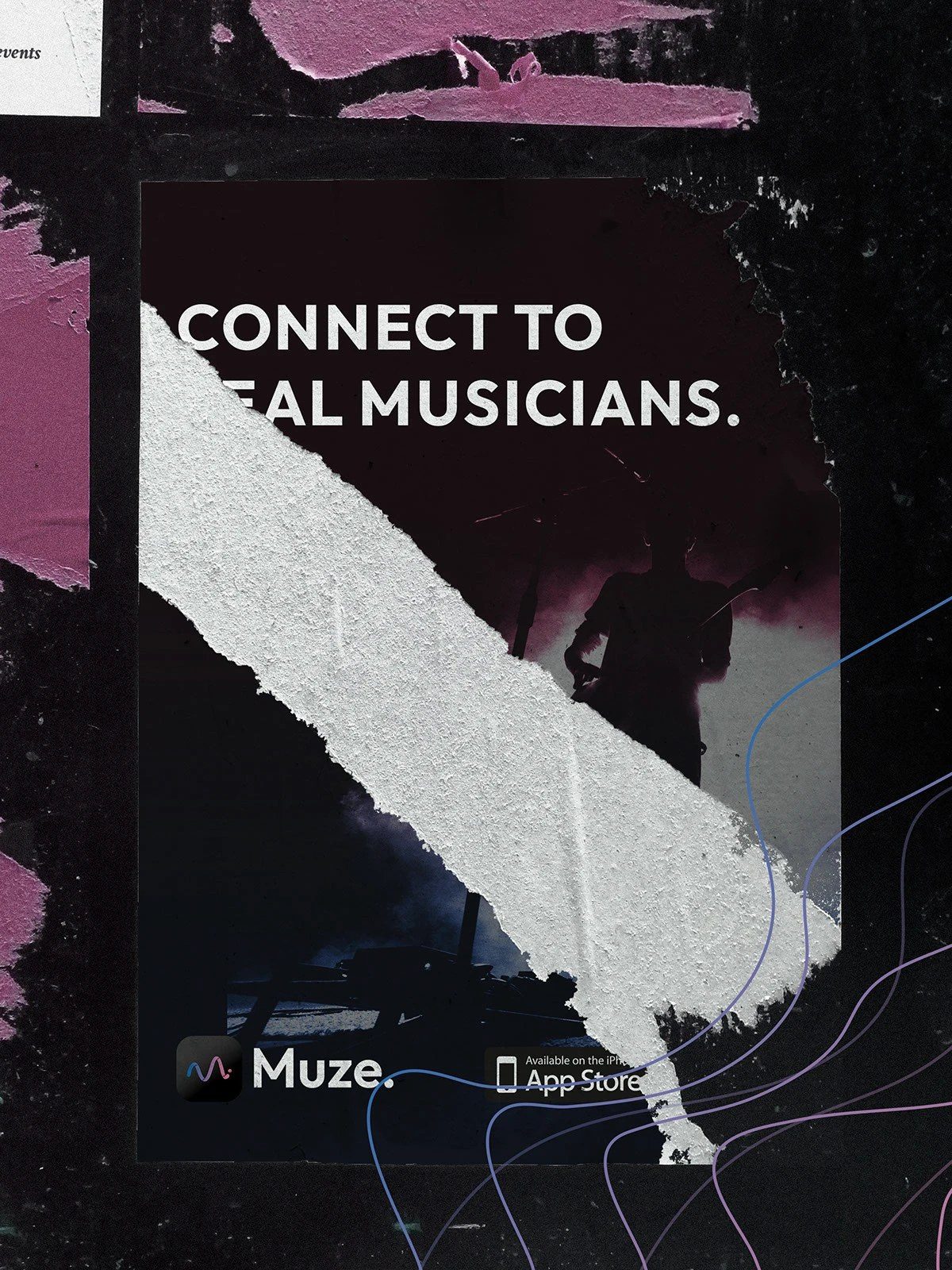 Muze detail